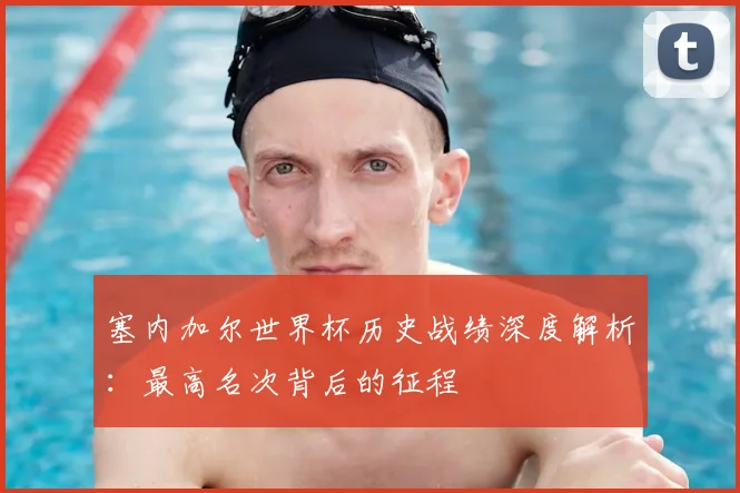 塞内加尔世界杯历史战绩深度解析：最高名次背后的征程