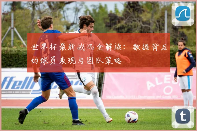 世界杯最新战况全解读：数据背后的球员表现与团队策略