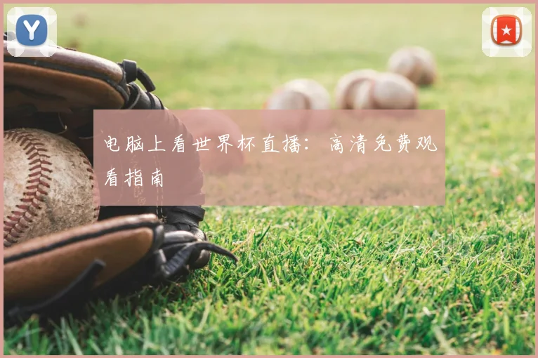 电脑上看世界杯直播：高清免费观看指南